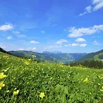 Holiday home Chalet Hinterlengau 2