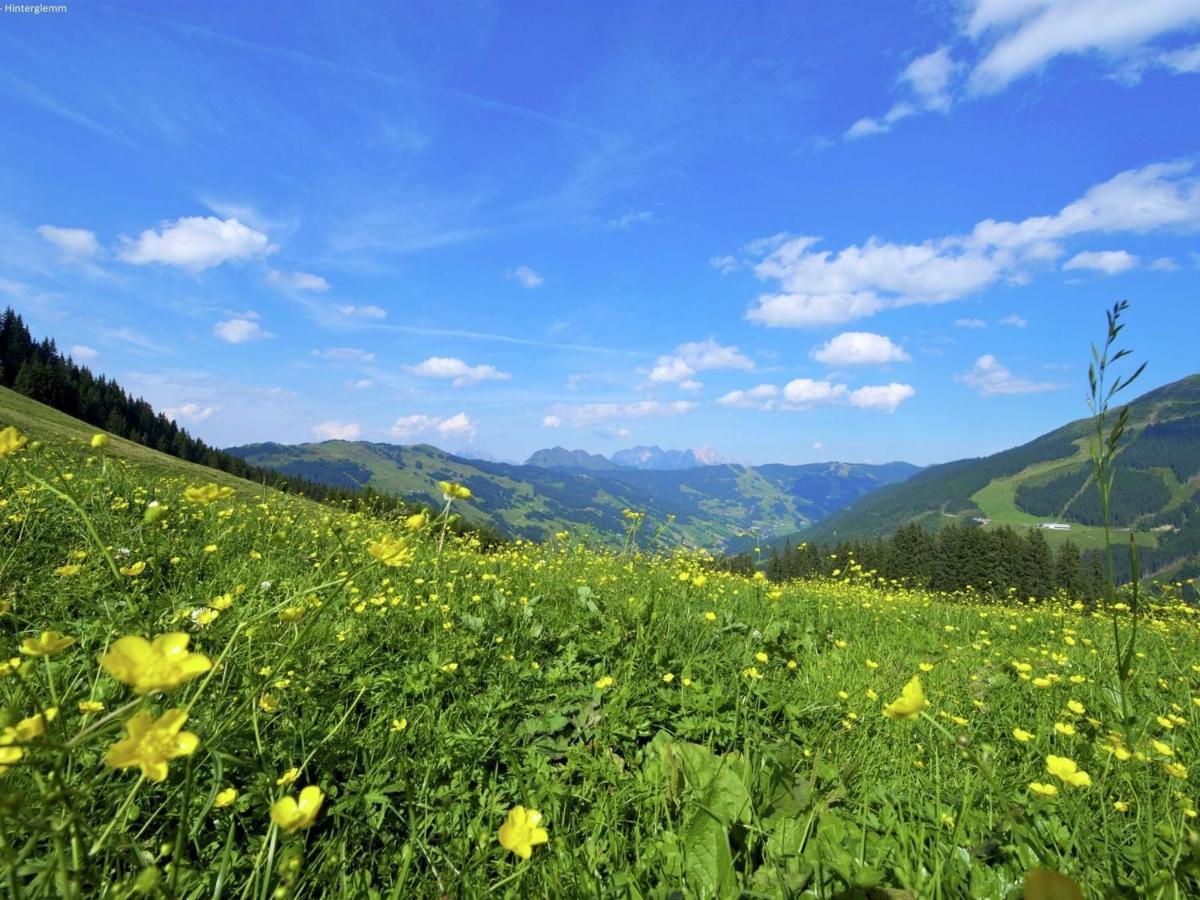 Lovely Chalet With Sauna Storage Heating Carport Saalbach-Hinterglemm